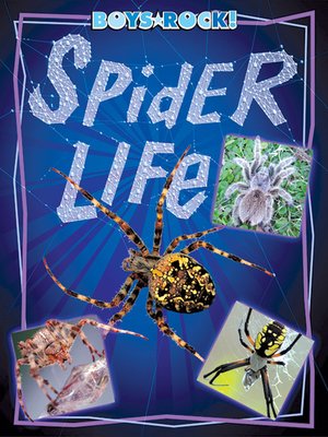 cover image of Spider Life